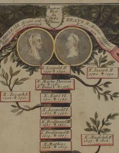Habsburg Family Tree Hand Colored Engraving 18th century or earlier - 4178953