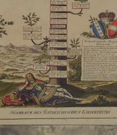 Habsburg Family Tree Hand Colored Engraving 18th century or earlier - 4178955