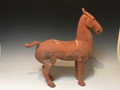 Han Dynasty Horse - 1972047