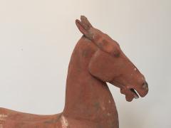 Han Dynasty Horse - 1972049