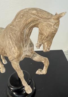 Hand Carved Anatomical Horse Model on Stand - 4314418