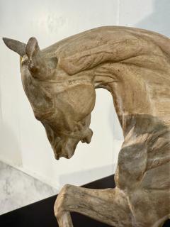 Hand Carved Anatomical Horse Model on Stand - 4314421