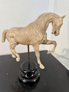 Hand Carved Anatomical Horse Model on Stand - 4314422