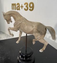 Hand Carved Anatomical Horse Model on Stand - 4314424