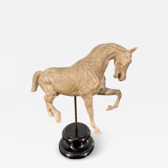 Hand Carved Anatomical Horse Model on Stand - 4319512