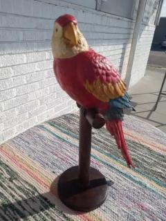 Hand Painted Parrot - 3947157