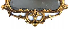 Hand carved Continental Rococo Revival Foliate Giltwood Mirror - 1894382