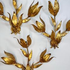 Hans K gl Set of 3 Large Original Hans Kogl 1970s Gilt Leaf Wall Lights - 3524455