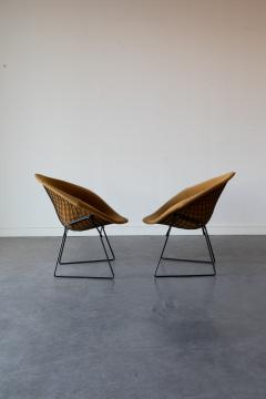 Harry Bertoia Diamond Chairs by Harry Bertoia for Knoll 1970s - 4535674