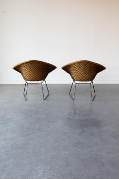 Harry Bertoia Diamond Chairs by Harry Bertoia for Knoll 1970s - 4535677