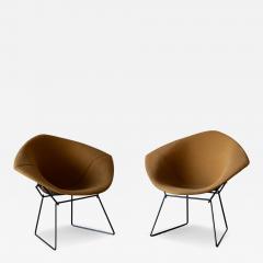 Harry Bertoia Diamond Chairs by Harry Bertoia for Knoll 1970s - 4536581