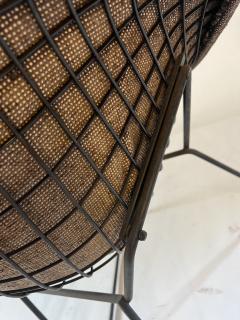 Harry Bertoia Early production Harry Bertoia Diamond Chair with orignial upholstry - 3976789