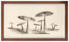 Harry Bertoia Harry Bertoia Framed Monoprint on Rice Paper USA 1960s - 1604315