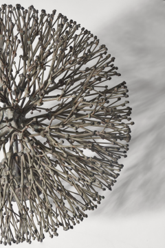 Harry Bertoia Harry Bertoia Untitled Bush  - 4345142