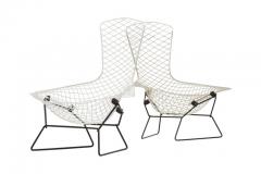 Harry Bertoia Pair of Harry Bertoia Bird Chairs for Knoll International 1952 - 456743