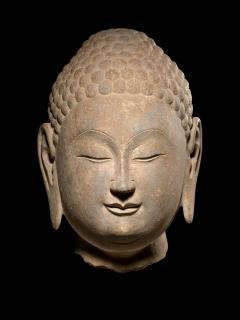 Head of Buddha Northern Qi Period - 2556193