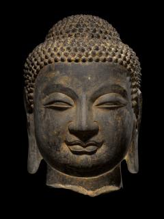 Head of Buddha Northern Qi Period - 2556209