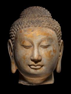 Head of Buddha Sui Dynasty - 2556219