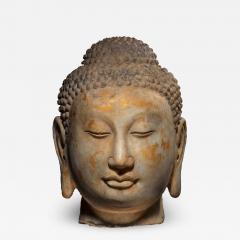 Head of Buddha Sui Dynasty - 2559797