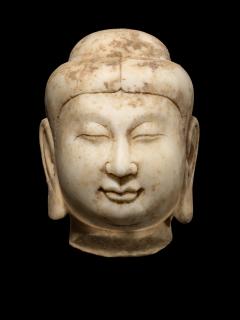 Head of Buddha Tang Dynasty - 2556220