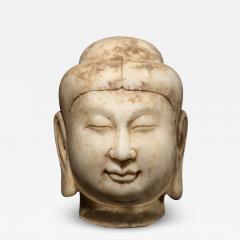 Head of Buddha Tang Dynasty - 2559796