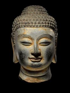 Head of Buddha Tang Dynasty - 2556224