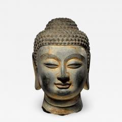 Head of Buddha Tang Dynasty - 2559804