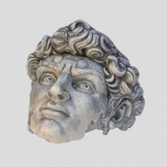 Head of David fiberglass sculpture - 4093048