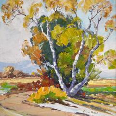 Helen Hafer California Scenic Landscape by Helen Hafer Framed - 4401464