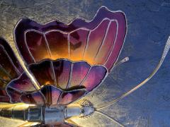 Henri Fernandez Henri Fernandez Butterfly Sconce - 865921