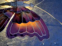 Henri Fernandez Henri Fernandez Butterfly Sconce - 865922