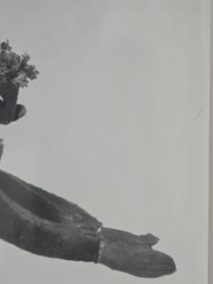 Henry Rox A Pork Chop Figure Diving Into a Frying Pan Photo Sculpture C 1944 - 4509858