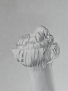 Henry Rox A Pork Chop Figure Diving Into a Frying Pan Photo Sculpture C 1944 - 4509887