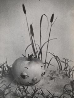 Henry Rox Henry Rox A Soft Carpet Tommy Apple 1934 Vintage Silver Print - 4488083