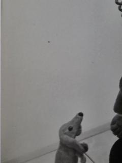 Henry Rox Henry Rox Art Critic Transformed Before Post War Abstraction c 1948 - 4504965