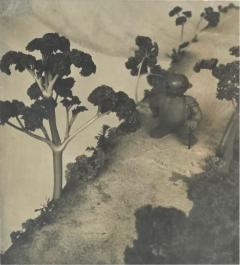 Henry Rox Henry Rox He was a Strange Little Figure Tommy Apple Banana land 1934 1940 - 4490687