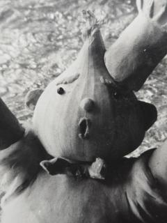 Henry Rox Henry Rox Mr Onion Shouting for Help 1936 Vintage Print - 4494871