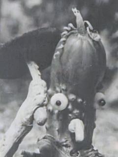 Henry Rox Henry Rox My Name is Cucumber He Said Silver Print c 1940 - 4508781