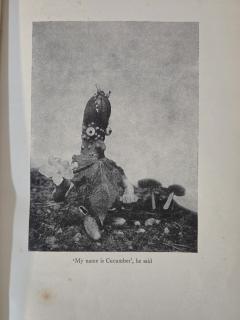 Henry Rox Henry Rox My Name is Cucumber He Said Silver Print c 1940 - 4508787