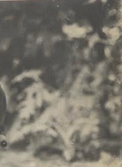 Henry Rox Henry Rox My Name is Cucumber He Said Silver Print c 1940 - 4508790