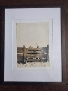 Henry Rox Henry Rox Tommy Apple Peggy Pear Frontispiece Silver Gelatin Photo 1935 1940 - 4488205