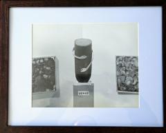 Henry Rox Henry Rox Venus Photo Sculpture from Modern Art Reflections c 1948 print - 4504869