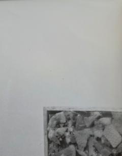 Henry Rox Henry Rox Venus Photo Sculpture from Modern Art Reflections c 1948 print - 4504875