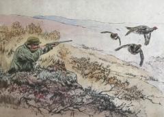 Henry Wilkinson Grouse Shooting  - 1309586