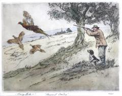 Henry Wilkinson Pheasant Shooting  - 1309595