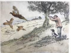 Henry Wilkinson Pheasant Shooting  - 1309596