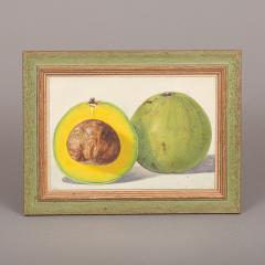 Herman Eggeling Avocado - 4780806