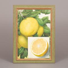 Herman Eggeling Grapefruit - 4780810