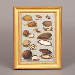 Herman Eggeling Walnuts - 4780812