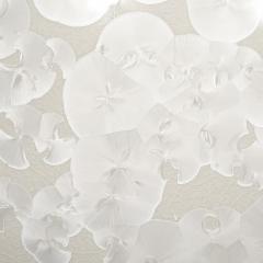 Hideaki Miyamura White Crystaline Vase Grouping by Hideaki Miyamura - 4316111
